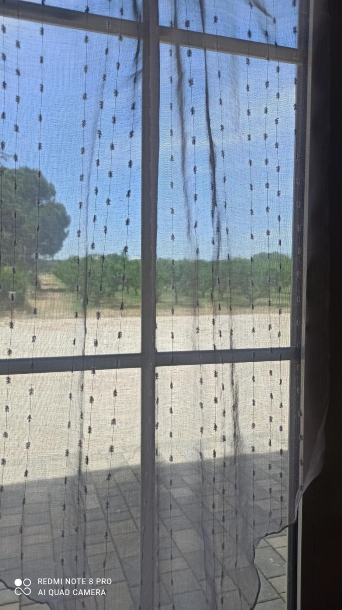 Agriturismo L' Annunziata Lizzano  Phòng bức ảnh
