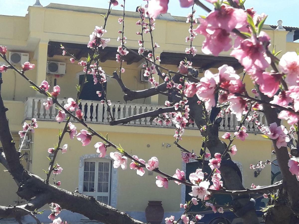 Agriturismo L' Annunziata Lizzano  Ngoại thất bức ảnh